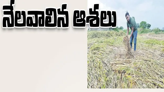 నేల వాలిన ఆశలు