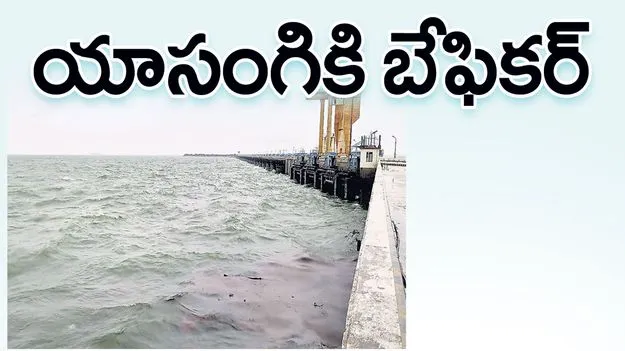 యాసంగికి బేఫికర్‌