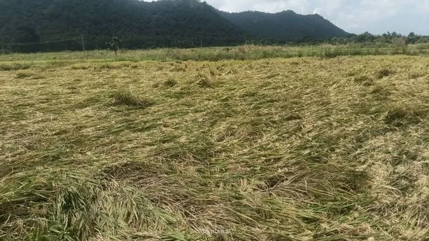 యువజనోత్సవాలకు వేళాయే..