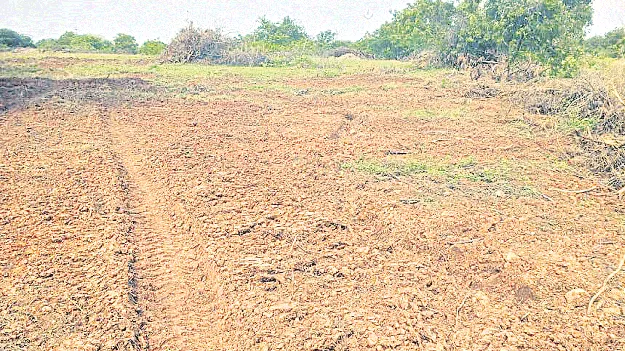 ఆక్రమించారు.. దున్నేశారు!