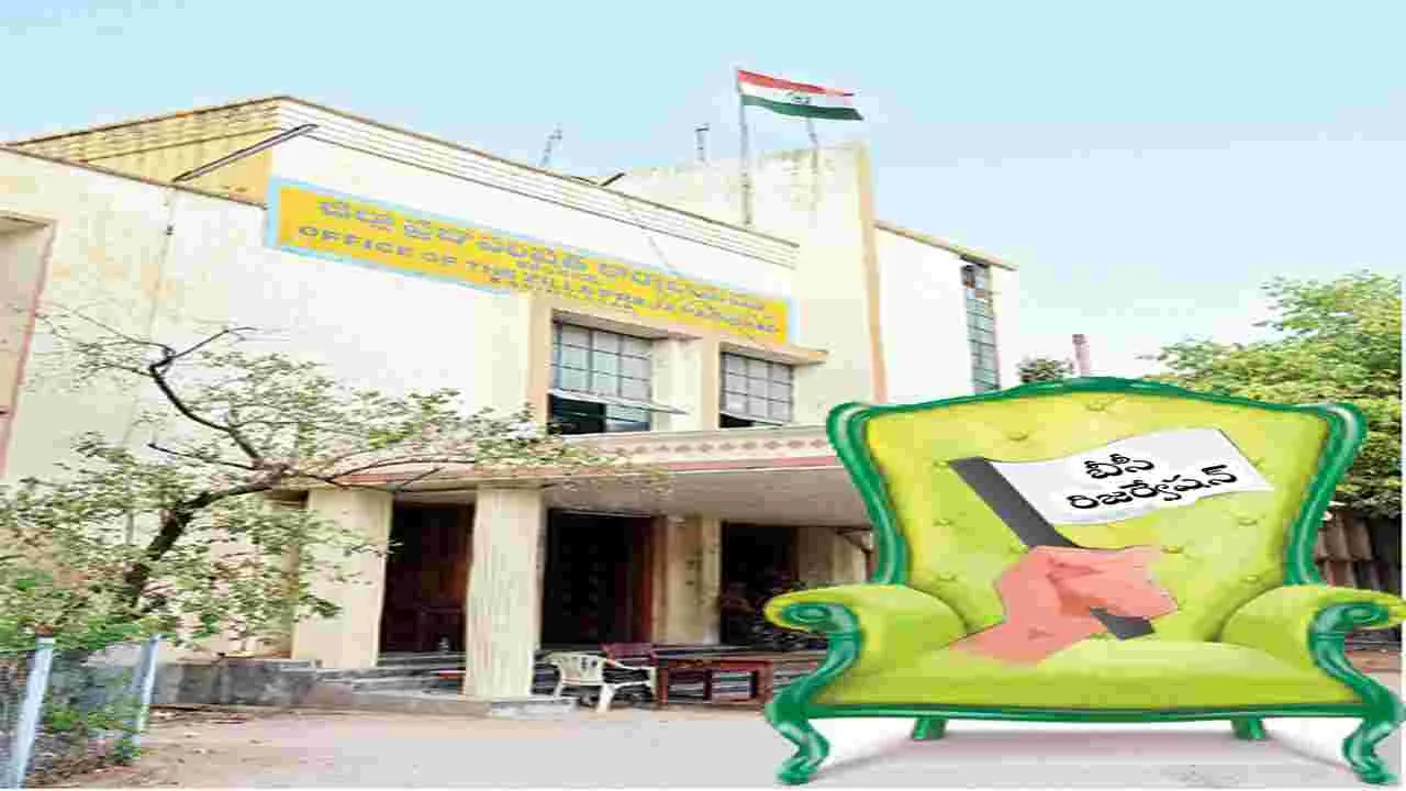 బీసీలకే జడ్పీ పీఠం 