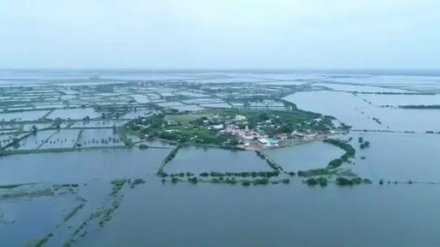 కొల్లేరు పరిరక్షణకు ప్రత్యేక అథారిటీ