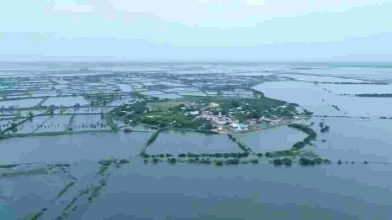 కొల్లేరు పరిరక్షణకు ప్రత్యేక అథారిటీ