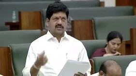 Illegal Mining AP: ఆ దోపిడీని రికవరీ చేయాలన్న సోమిరెడ్డి... మంత్రి ఏం చెప్పారంటే