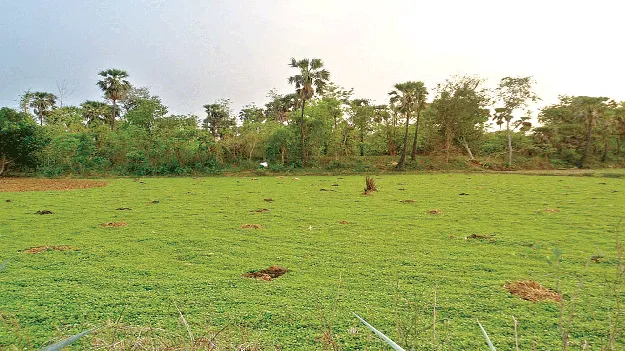 Hopes are on freehold ఫ్రీహోల్డ్‌పైనే ఆశలు