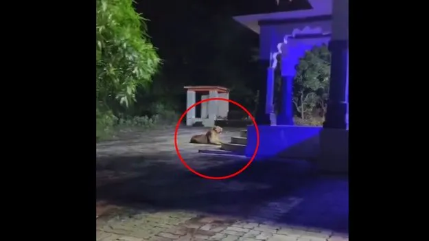 Watch Video: దుర్గమ్మ గుడి ముందు అద్భుతం.. చూసేందుకు రెండు కళ్లు చాలవంతే..!