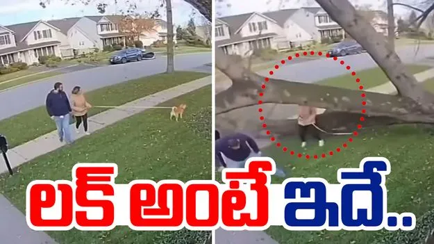 shocking video: అదృష్టం అంటే ఇదే.. పెద్ద ప్రమాదం నుంచి ఎలా తప్పించుకుందో చూడండి..