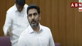 TDP Vs YSRCP: వైసీపీకి మండలిలో మంత్రి లోకేష్ ధీటైన సమాధానం