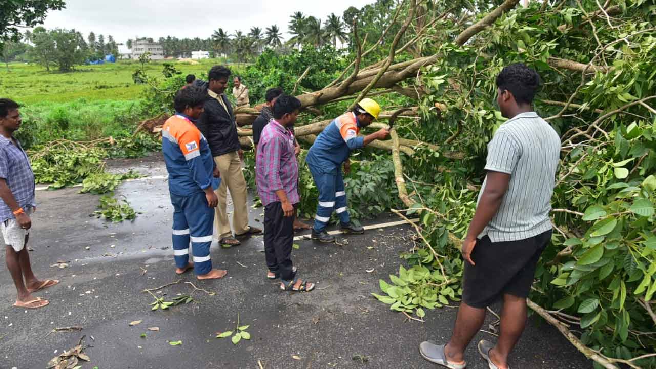 Montha Cyclone Hits Andhra Pradesh: మొంథా తుపాన్ ఎఫెక్ట్.. భారీ సంఖ్యలో నేల కొరిగిన చెట్లు..