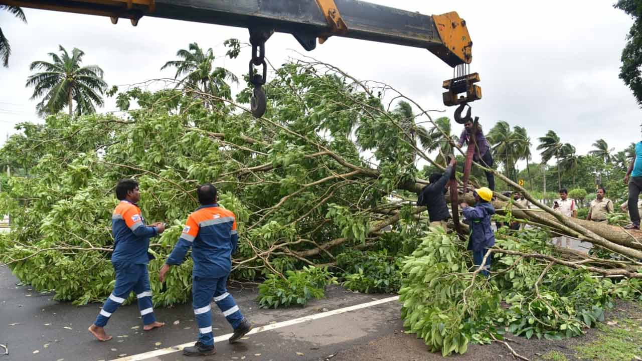 Montha Cyclone Hits Andhra Pradesh: మొంథా తుపాన్ ఎఫెక్ట్.. భారీ సంఖ్యలో నేల కొరిగిన చెట్లు..