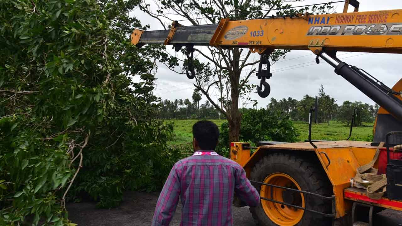 Montha Cyclone Hits Andhra Pradesh: మొంథా తుపాన్ ఎఫెక్ట్.. భారీ సంఖ్యలో నేల కొరిగిన చెట్లు..