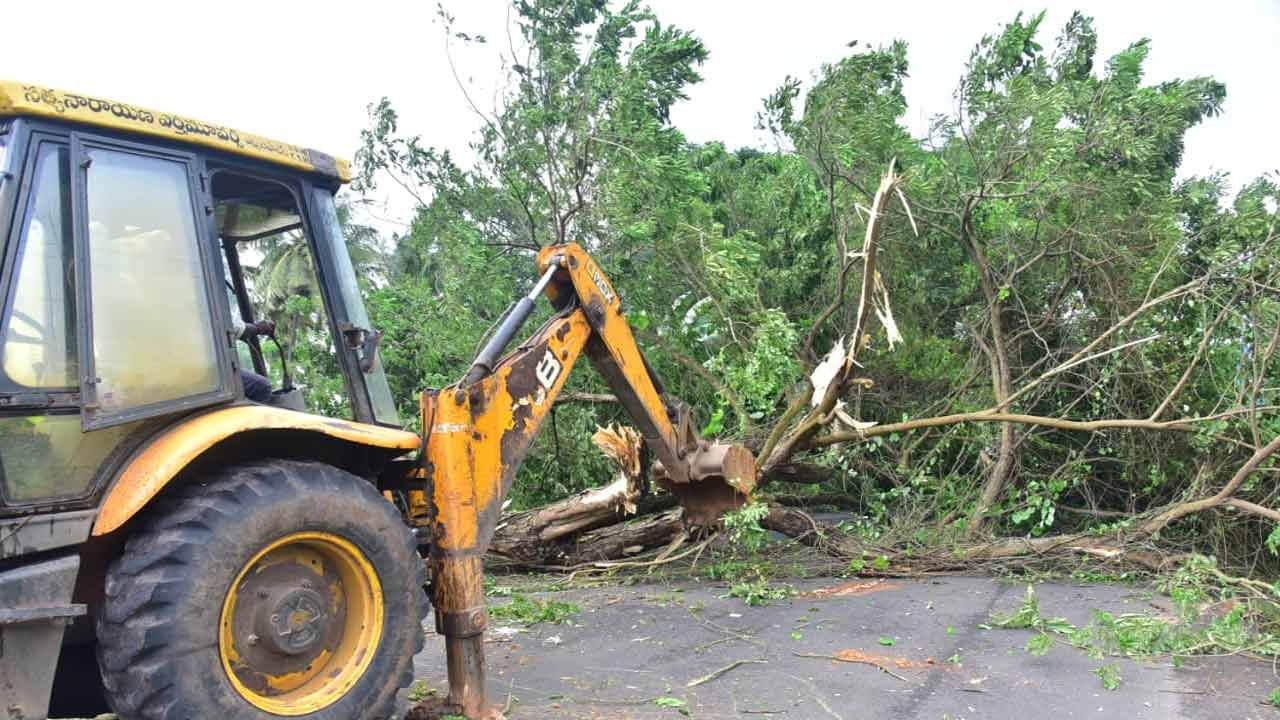 Montha Cyclone Hits Andhra Pradesh: మొంథా తుపాన్ ఎఫెక్ట్.. భారీ సంఖ్యలో నేల కొరిగిన చెట్లు..