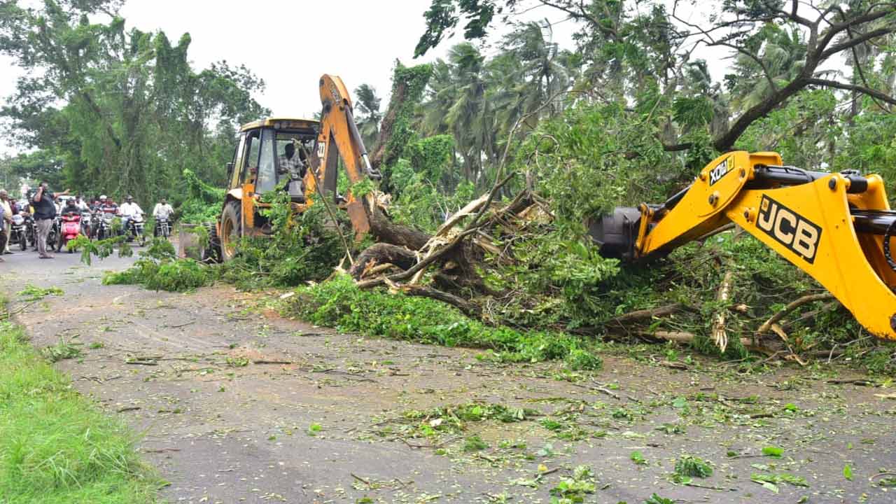 Montha Cyclone Hits Andhra Pradesh: మొంథా తుపాన్ ఎఫెక్ట్.. భారీ సంఖ్యలో నేల కొరిగిన చెట్లు..