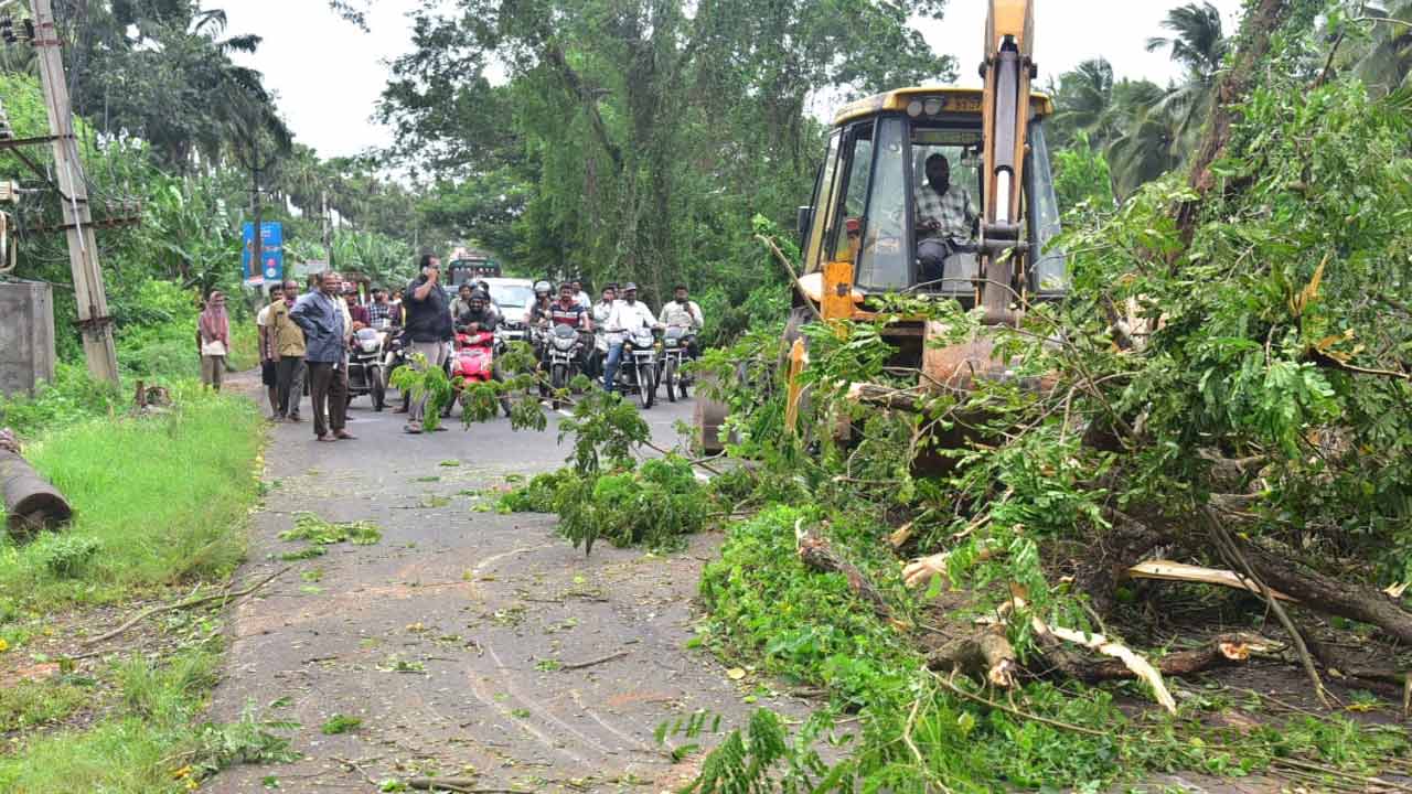 Montha Cyclone Hits Andhra Pradesh: మొంథా తుపాన్ ఎఫెక్ట్.. భారీ సంఖ్యలో నేల కొరిగిన చెట్లు..