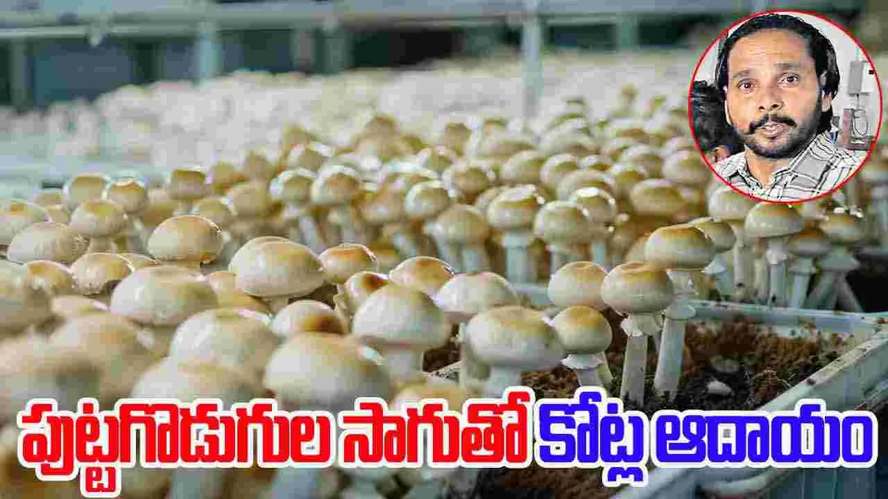 Yadvinder Singh life Story: కష్టాల కడలి దాటి.. పుట్టగొడుగులతో కోటీశ్వరుడైన వ్యక్తి