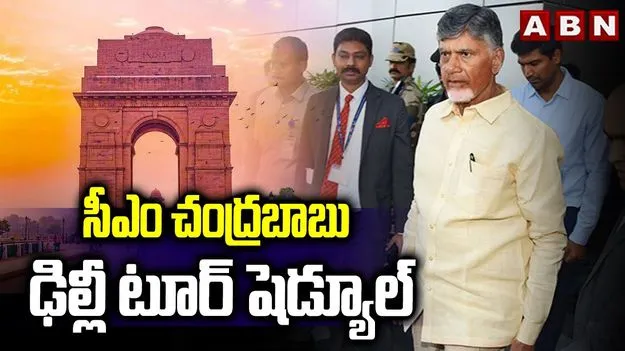 CM Chandrababu On Delhi: ఢిల్లీకి సీఎం చంద్రబాబు.. ఎందుకంటే..