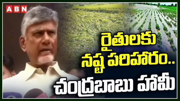 Cyclone Montha On AP Govt:మొంథా తుఫాను నష్టాన్ని అంచనా వేస్తున్న ఏపీ ప్రభుత్వం