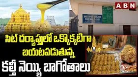 Tirupati Laddu Case: తిరుపతి లడ్డూ కల్తీ నెయ్యి కేసులో సిట్ దూకుడు.. విచారణకు హాజరైన ధర్మారెడ్డి