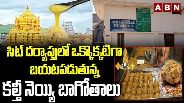 Tirupati Laddu Case: తిరుపతి లడ్డూ కల్తీ నెయ్యి కేసులో సిట్ దూకుడు.. విచారణకు హాజరైన ధర్మారెడ్డి
