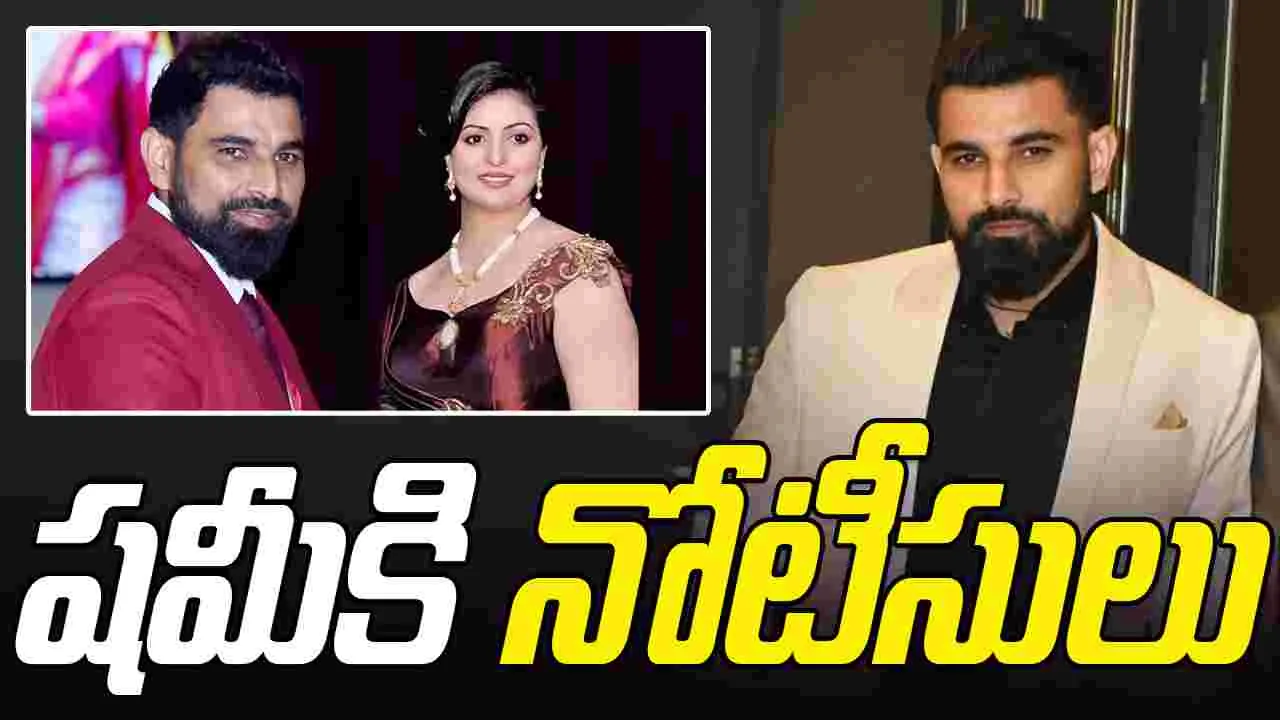 Mohammed Shami: ఆ రూ.4లక్షలు సరిపోట్లేదు: షమీ మాజీ భార్య
