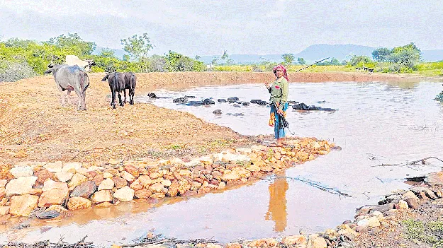 జాతీయ అవార్డుకు ఎంపికైన మురుగుమ్మి