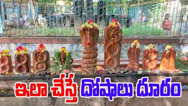 Nagula Chavithi 2025: నాగుల చవితి.. ఇలా చేస్తే దోషాలు దూరం