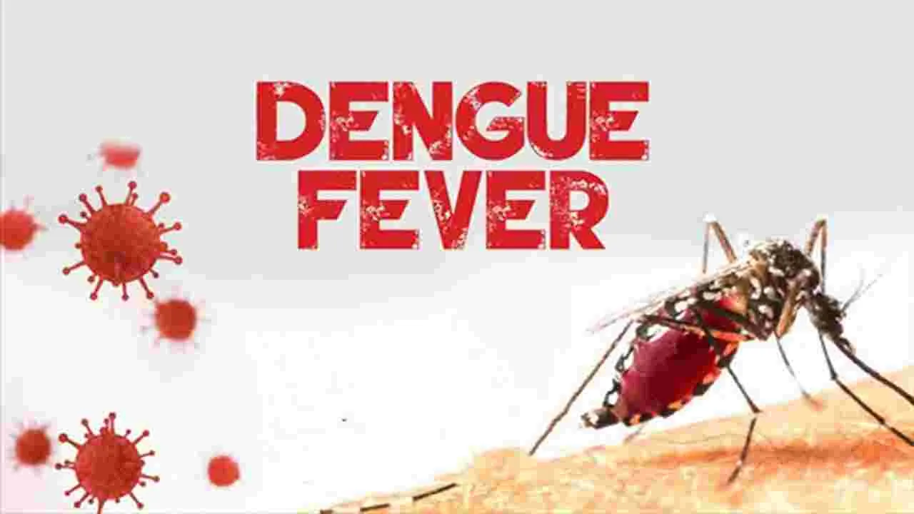 Health Minister: రాష్ట్రంలో డెంగ్యూ కేసులు పెరుగుతున్నాయి..