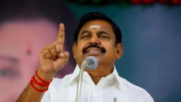 Assembly Elections: మాజీసీఎం ఈపీఎస్ సంచలన కామెంట్స్.. ఆయన ఏమన్నారో తెలిస్తే..