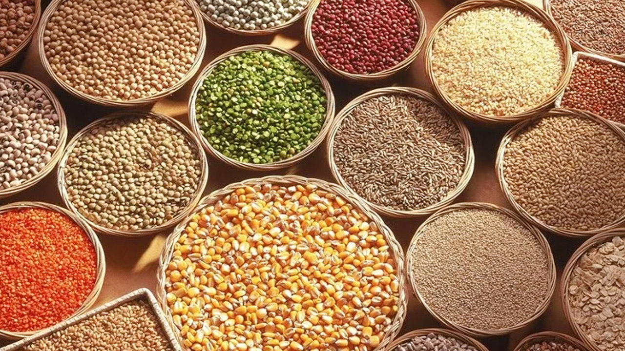 No GST Items: కొత్త జీఎస్టీ ప్రకారం..ఈ వస్తువులపై నో ట్యాక్స్