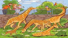 Optical illusion: మీ కంటి చూపు బాగుంటే తప్ప.. ఈ చిత్రంలో దాక్కున్న పియర్ పండును గుర్తించలేరు.. 