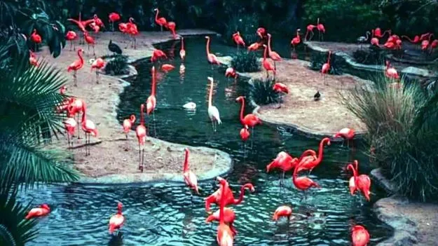 Optical Illusion:  మీ కళ్లు పవర్‌ఫుల్‌గా ఉన్నాయా.. అయితే ఈ కొంగ మధ్యలో ఉన్న నీటిగుర్రాన్ని 15 సెకన్లలో కనుక్కోండి చూద్దాం.. 