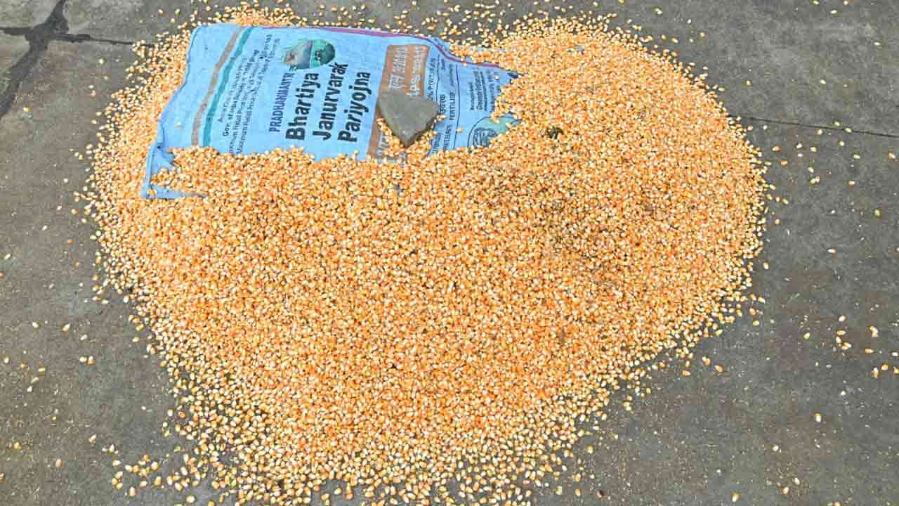 Rain In Chityala: అకాల వర్షంతో తడిసిన ధాన్యం.. రైతులు విలవిల..  