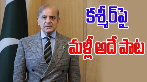 Shehbaz Sharif: కశ్మీర్‌పై మళ్లీ విషం కక్కిన షెహబాజ్ 
