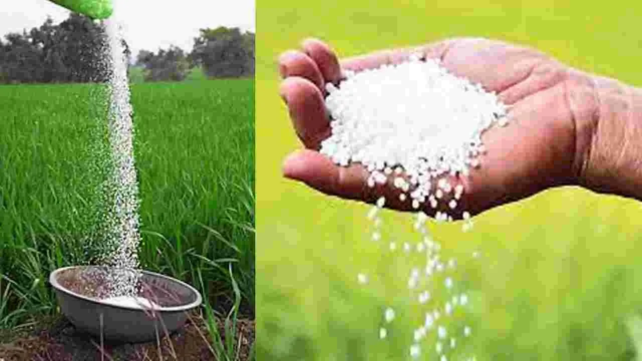 AP News: అన్నమయ్య జిల్లాలో 2621 మెట్రిక్‌ టన్నుల యూరియా నిల్వ