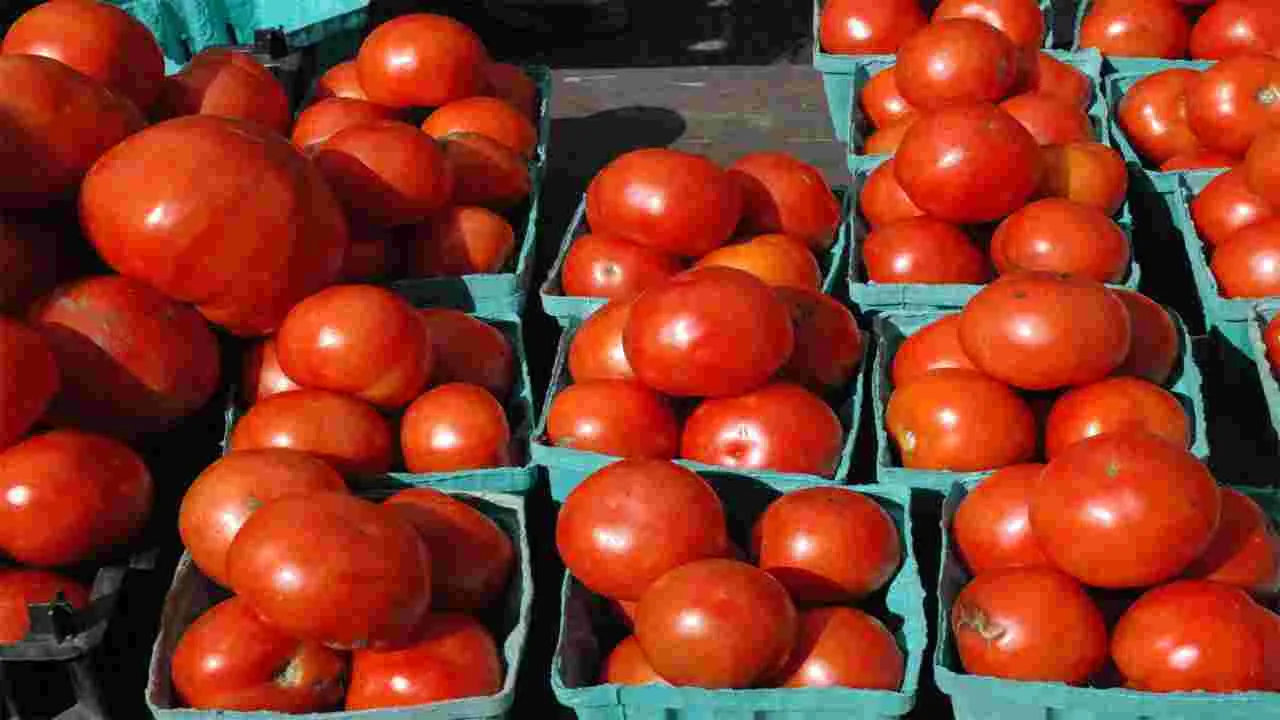 AP News: టమోటాను మేమే కొనుగోలు చేస్తాం..