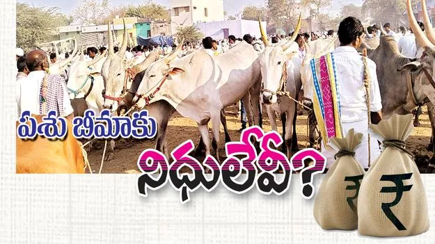 పశు బీమాకు నిధులేవీ? 