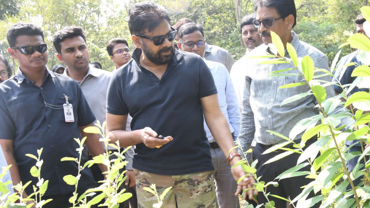 Deputy CM Pawan: మామండూరు అటవీ ప్రాంతాన్ని సందర్శించిన డిప్యూటీ సీఎం పవన్
