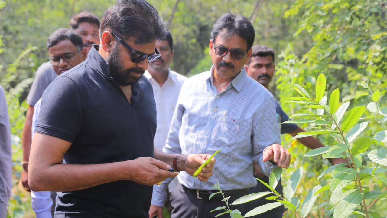 Deputy CM Pawan: మామండూరు అటవీ ప్రాంతాన్ని సందర్శించిన డిప్యూటీ సీఎం పవన్