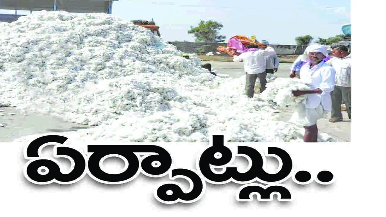 పత్తి కొనుగోళ్లకు ఏర్పాట్లు