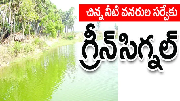 చిన్ననీటి వనరుల సర్వేకు గ్రీన్‌సిగ్నల్‌