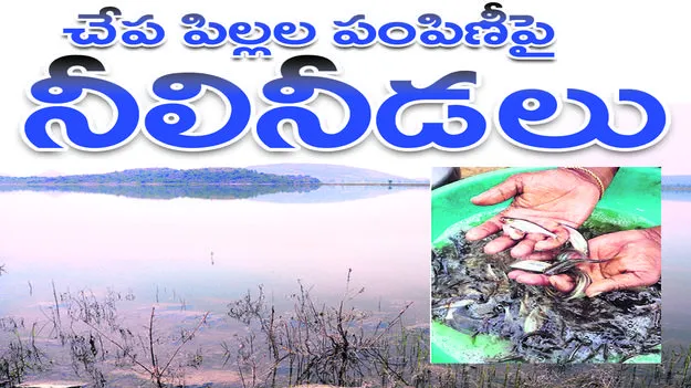 చేప పిల్లల పంపిణీపై నీలినీడలు