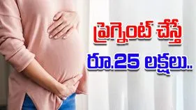 Pregnant job scam: ప్రెగ్నెంట్ చేస్తే పాతిక లక్షలు ఇస్తామన్నారు.. చివరికి ఏం జరిగిందో తెలిస్తే..