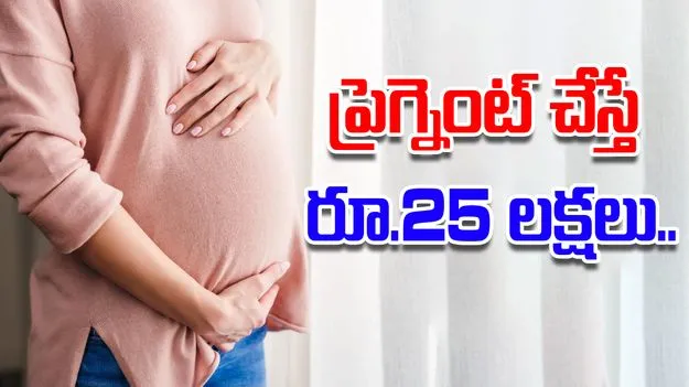 Pregnant job scam: ప్రెగ్నెంట్ చేస్తే పాతిక లక్షలు ఇస్తామన్నారు.. చివరికి ఏం జరిగిందో తెలిస్తే..