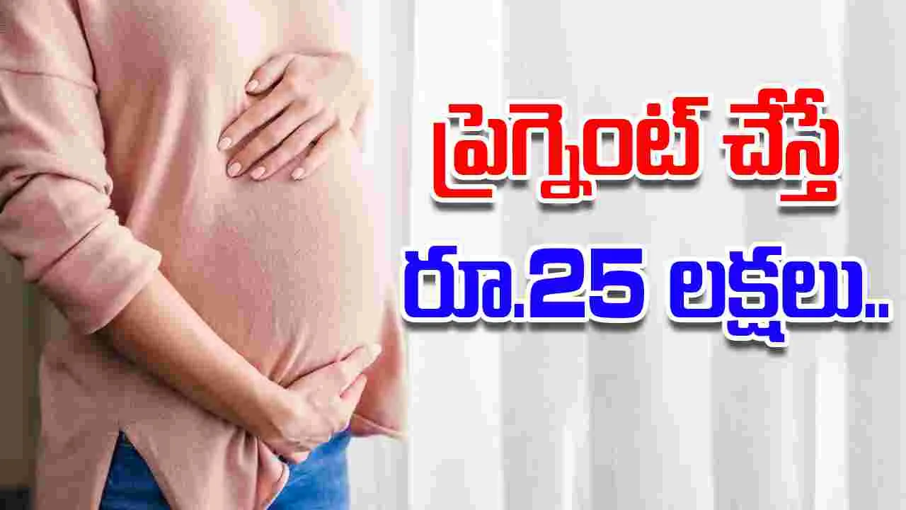 Pregnant job scam: ప్రెగ్నెంట్ చేస్తే పాతిక లక్షలు ఇస్తామన్నారు.. చివరికి ఏం జరిగిందో తెలిస్తే..
