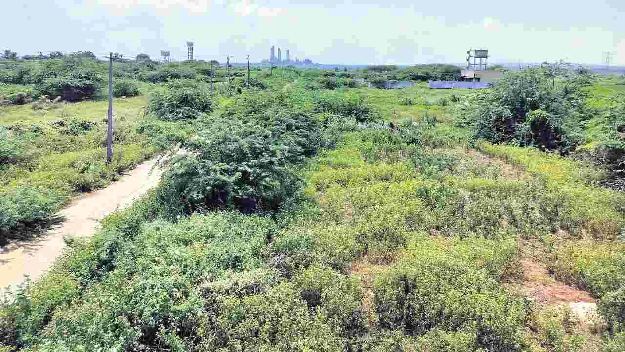  పునరావాసం.. నిరుపయోగం