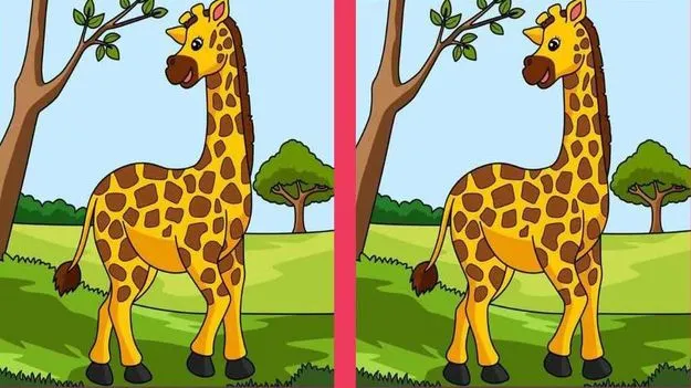 Picture Puzzle: మీ పరిశీలనా శక్తికి పరీక్ష.. ఈ ఫొటోల్లోని మూడు తేడాలను 14 సెకెన్లలో కనిపెట్టండి