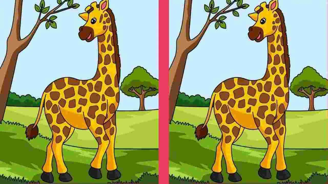 Picture Puzzle: మీ పరిశీలనా శక్తికి పరీక్ష.. ఈ ఫొటోల్లోని మూడు తేడాలను 14 సెకెన్లలో కనిపెట్టండి