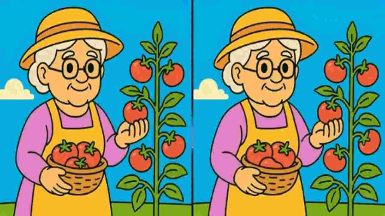 Picture Puzzle: మీ పరిశీలనకు టెస్ట్.. ఈ ఫొటోల్లోని మూడు తేడాలను 50 సెకెన్లలో కనిపెట్టండి