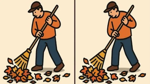 Picture Puzzle: మీ బ్రెయిన్‌ రేంజ్‌ ఎంత.. ఈ ఫొటోల్లోని మూడు తేడాలను 45 సెకెన్లలో కనిపెట్టండి