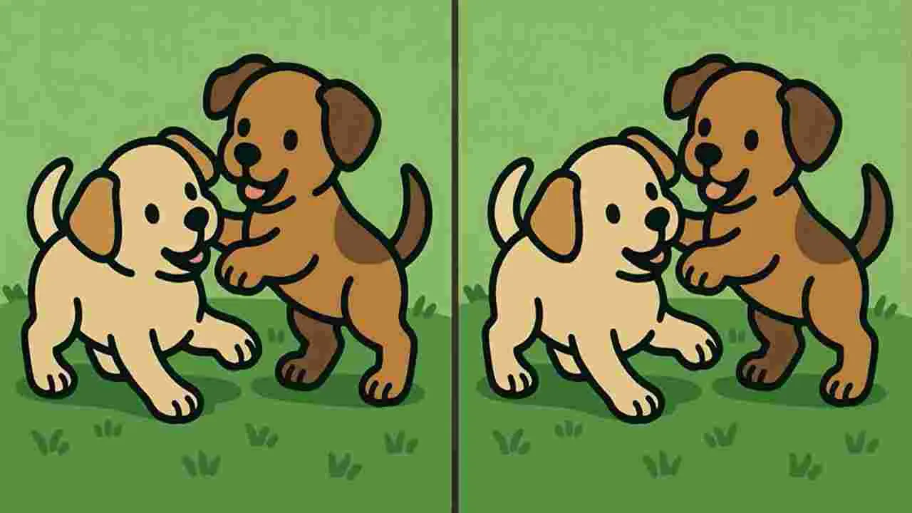 Picture Puzzle: మీ పరిశీలనా శక్తికి టెస్ట్.. ఈ ఫొటోల్లోని మూడు తేడాలను 45 సెకెన్లలో కనిపెట్టండి